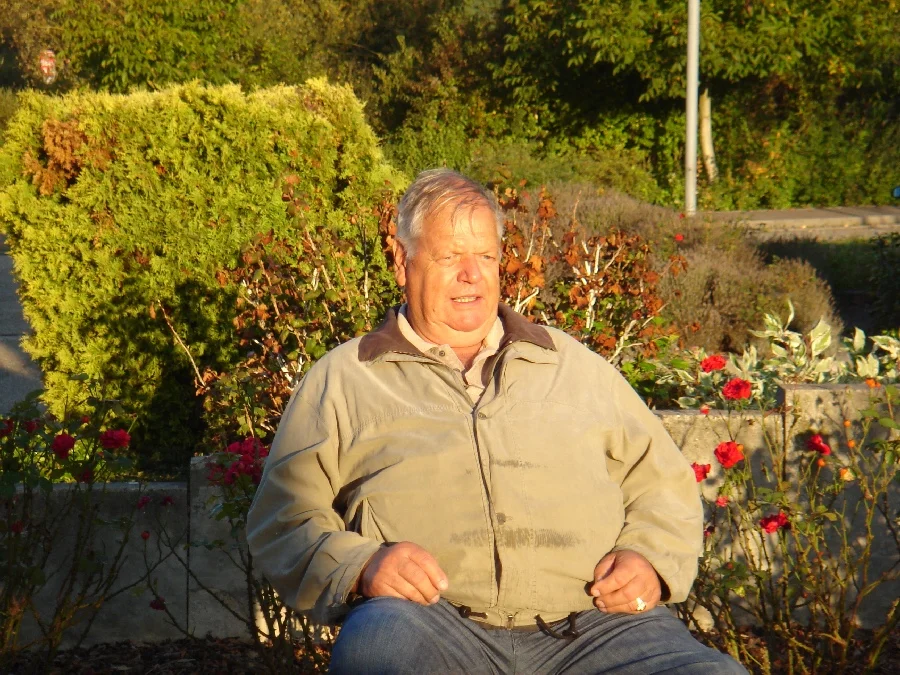 Frische Energie#aus der Morgensonne