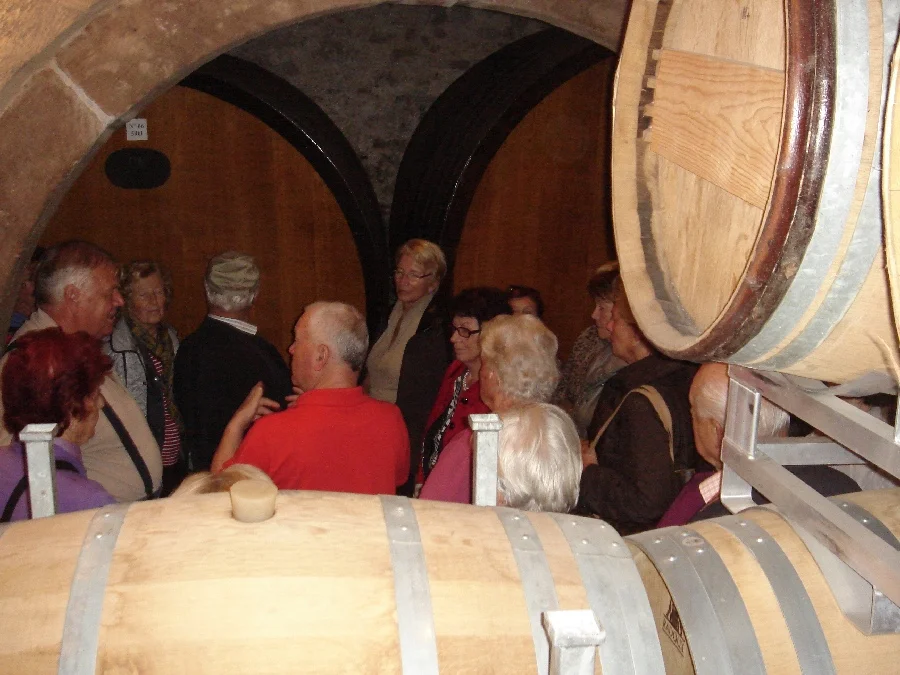 Eine Weinkellerbesichtigung#mit anschließender Weinverkostung