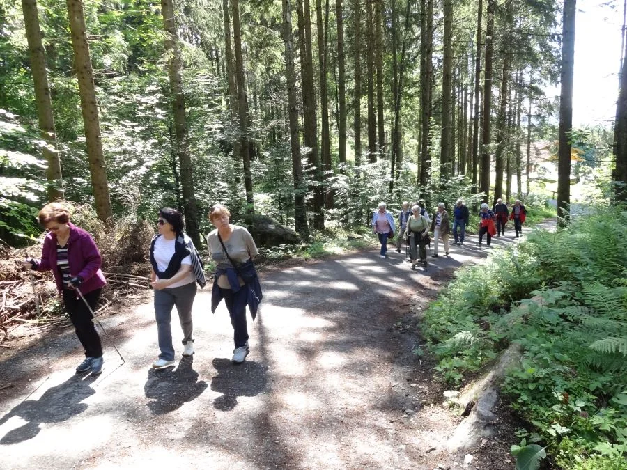 Auf der +Krebsenwandermeile+