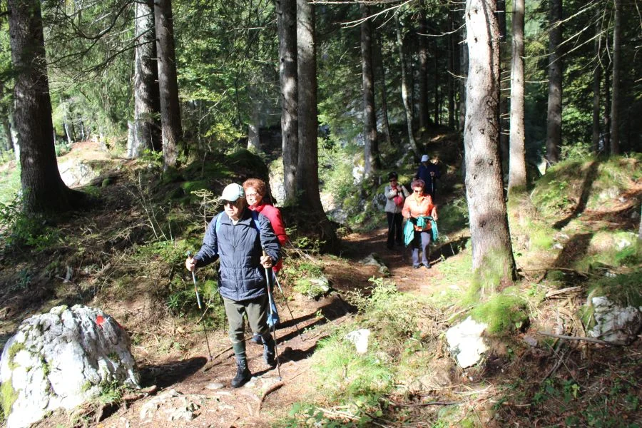 Da kommen die Ersten der +schnellen+ Gruppe.