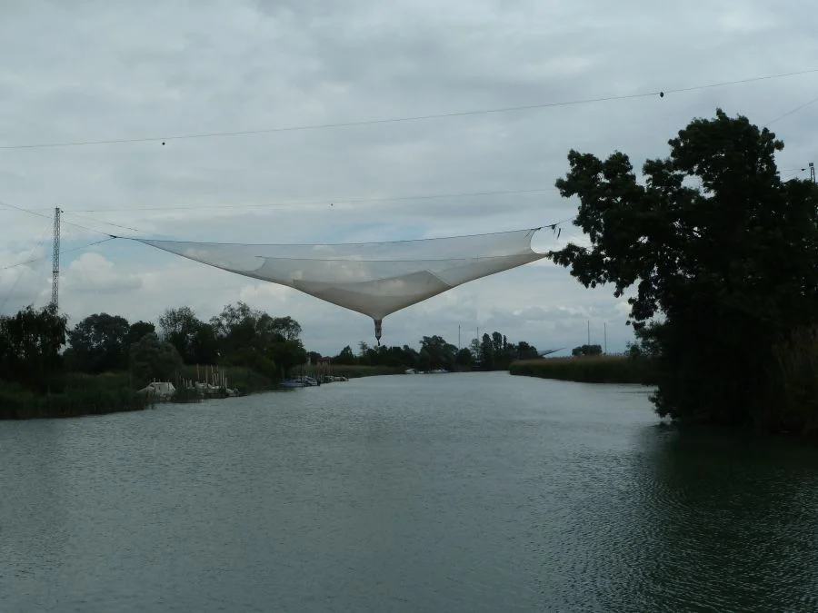 In den Lagunen gibt es viele Vogelparadise