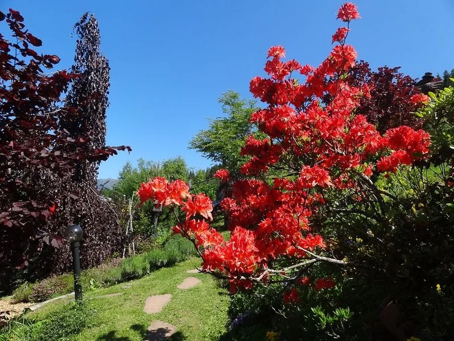 Alle waren restlos begeistert von der#Vielfalt der Blumen und Kräuter