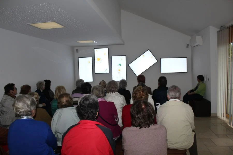 Einleitender Filmvortrag