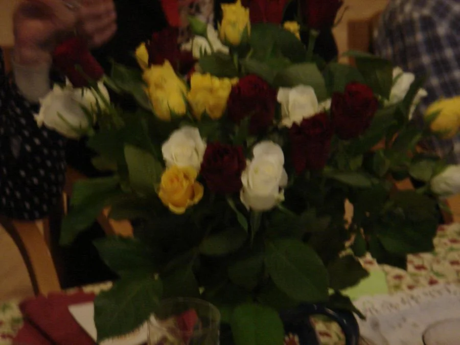 Rosen für die Damen