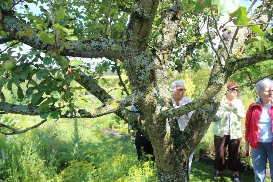In der Mitte unsere Obfrau Heidi Wienerroither