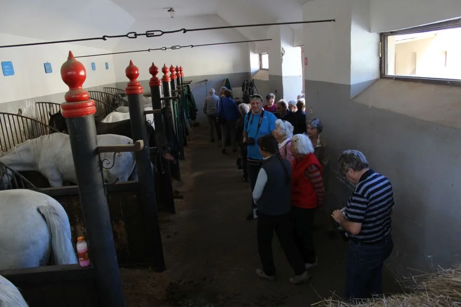 Schöne, alte Stallungen