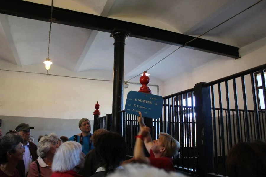 Jedes Pferd hat Namen und Stammbaum