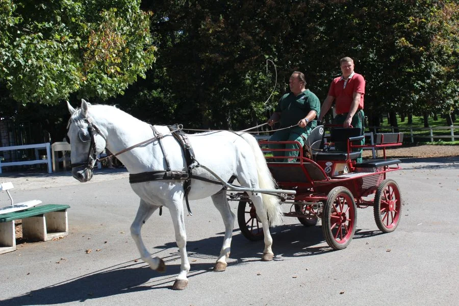 Auch für Kutschenfahrten gut geeignet