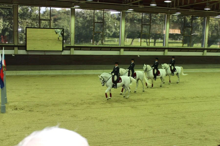 Einige weibliche Bereiter