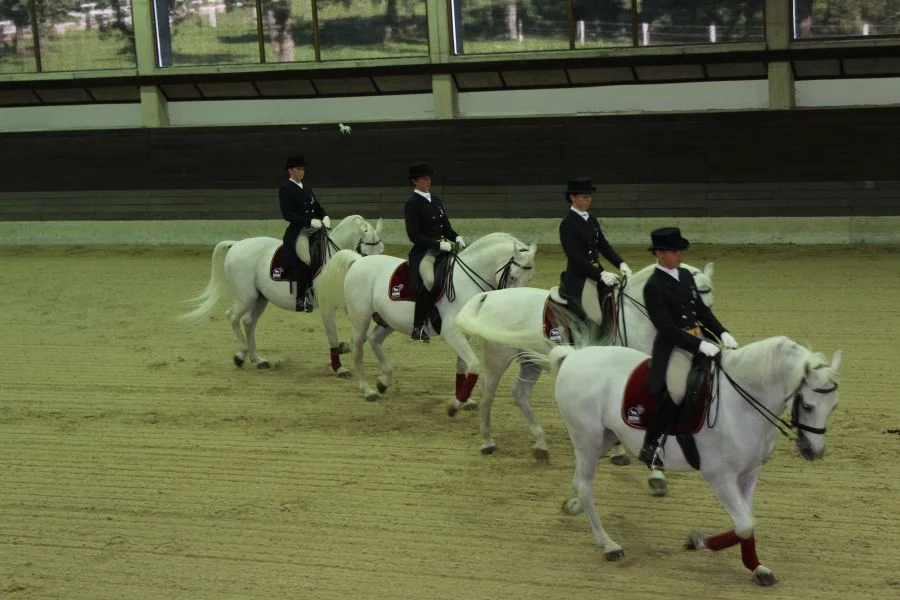 Interessante Reitvorführung