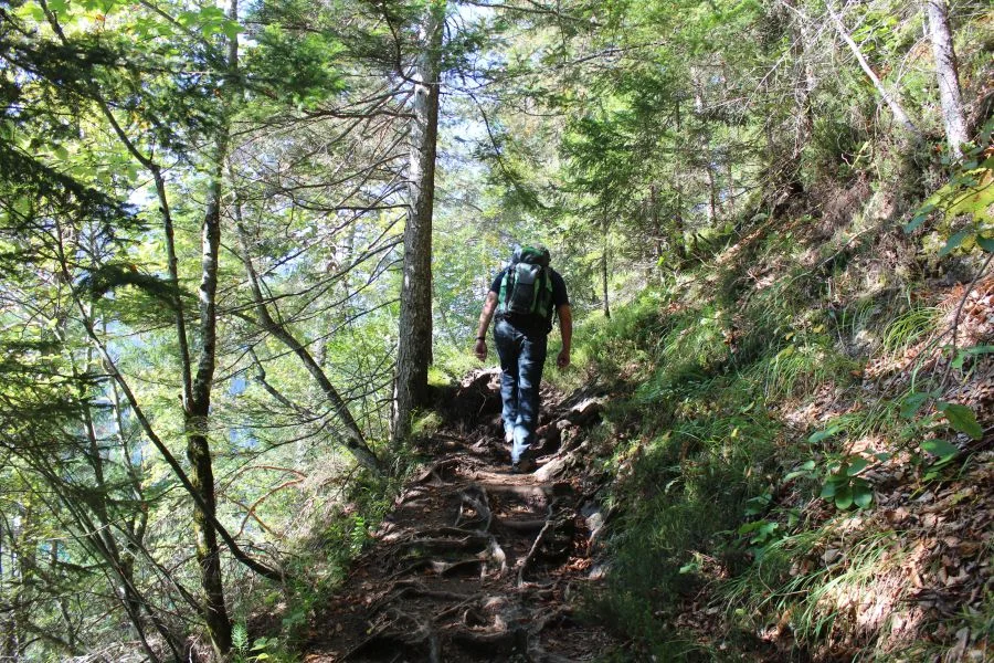 Wanderführer Saurer immer ein paar Schritte voraus