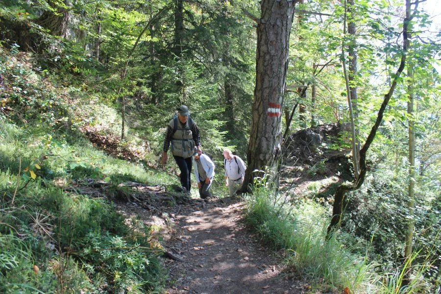 Hans und Rosi Prüller sowie Ewald Friesacher