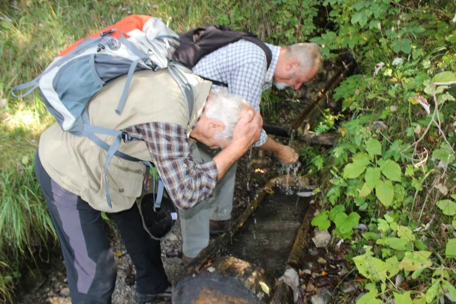 .......tut allen gut