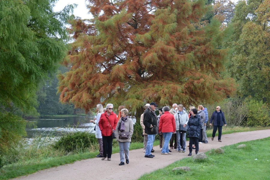 Im Dessau-Wörlitzer Gartenreich