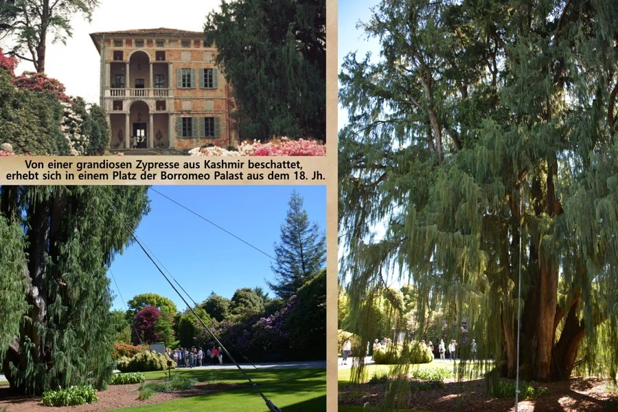 Wunderschöne exotische Gartenanlagen