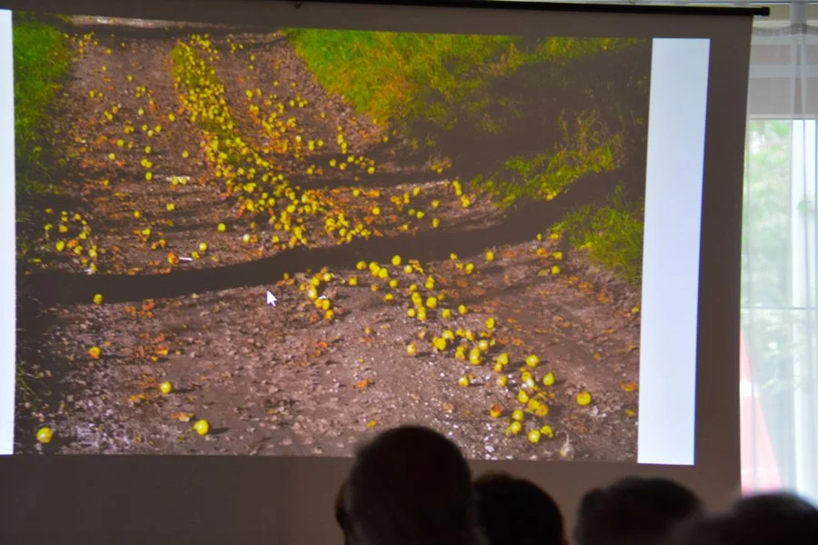 Reife Früchte für einen guten Most