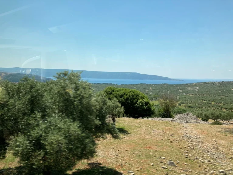 Olivenbäume wohin das Auge reicht