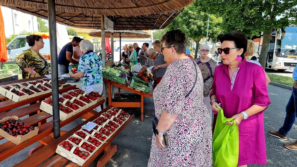 Erdbeeren, keine Kalorien nur Wasser
