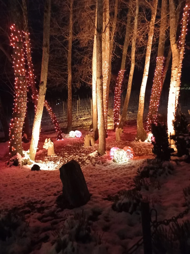 weihnachtliche Stimmung im Wald