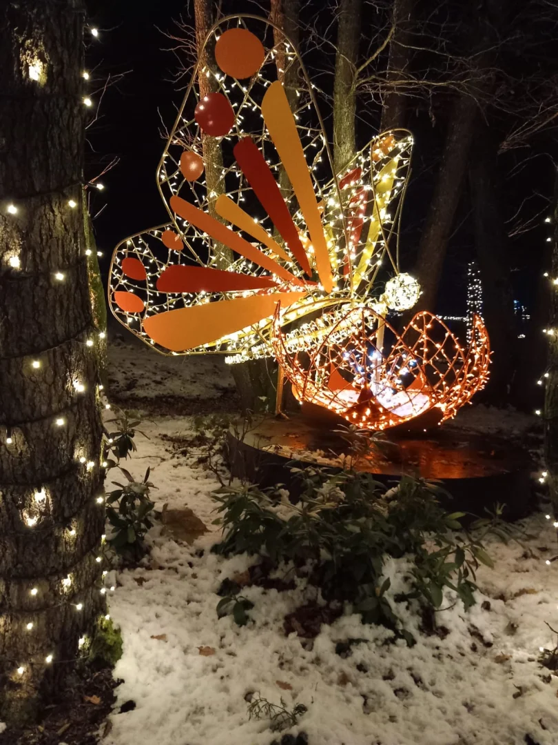 Schmetterling im Winter