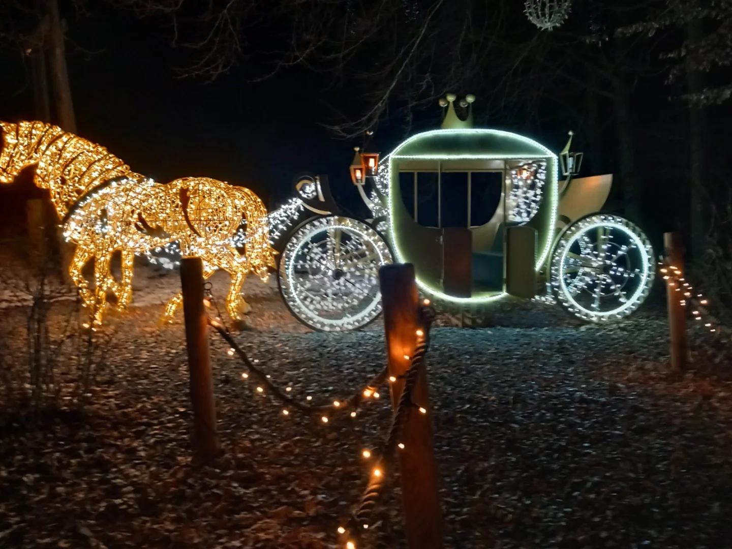 dieses Taxi würde jeder nehmen