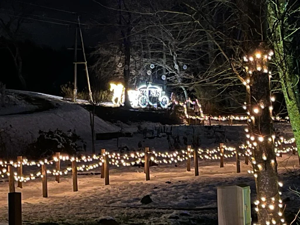 wohin das Wegale wohl führt