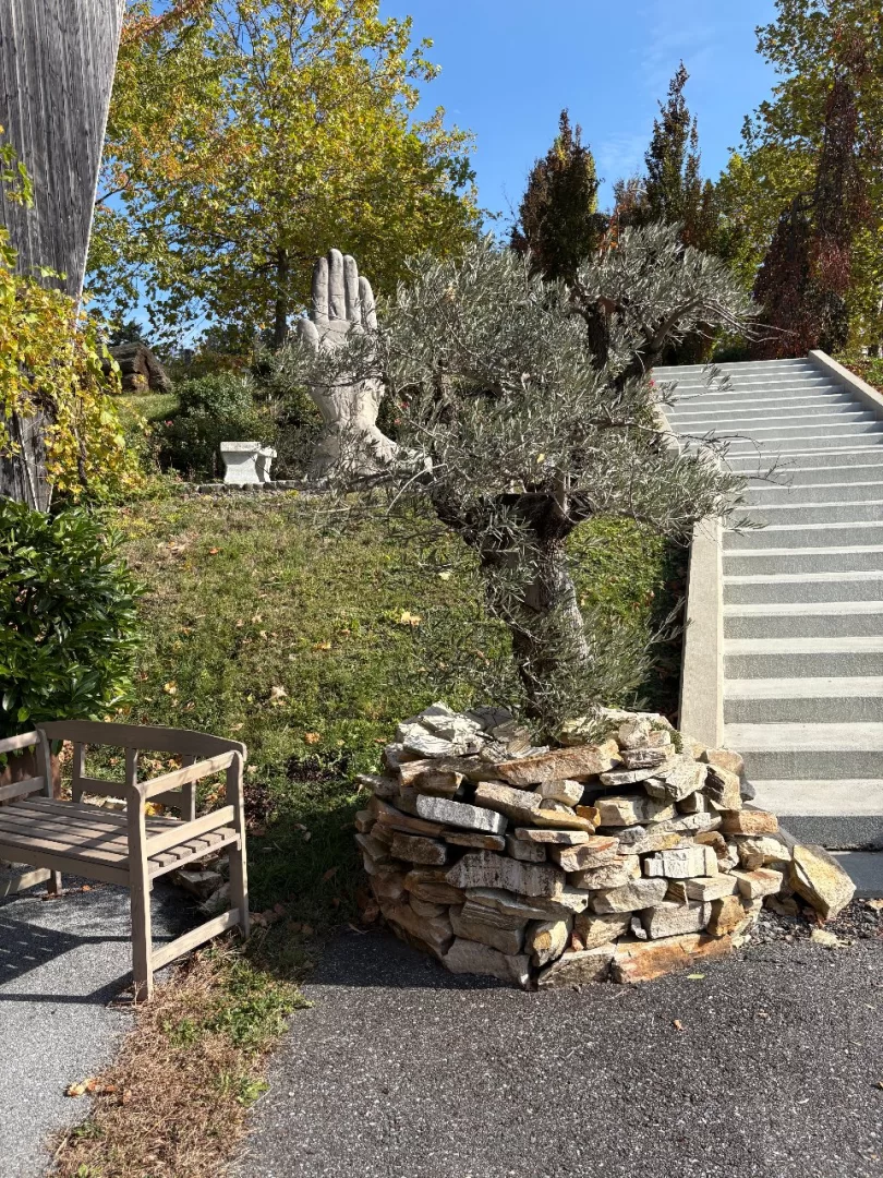 Foto 44